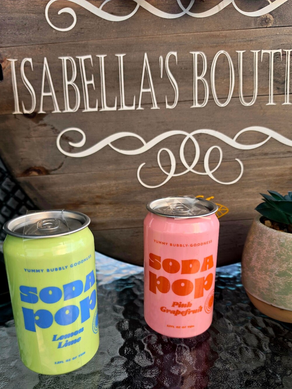 2 Secret Compartment Soda Pop  Cans